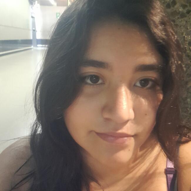 Babysitter in La Florida: Alondra