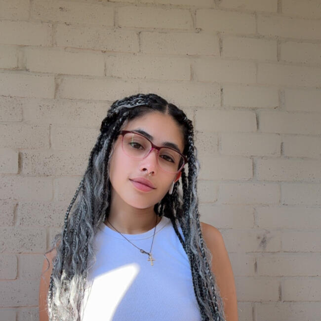 Babysitting job in Houston: Perez family