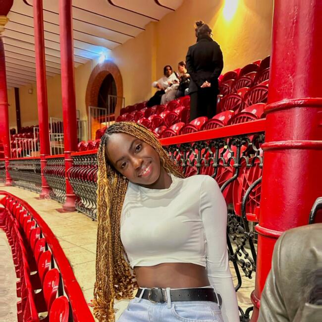 Babysitter in Castelo Branco: Aida