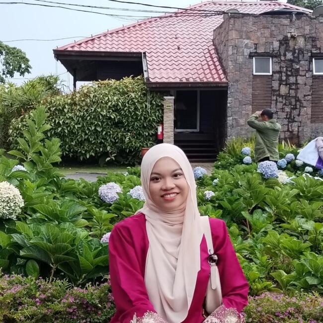 Babysitter in Padang Serai: Ain