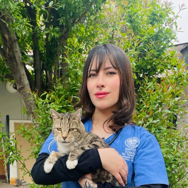 Babysitter in Recoleta: Carolina Aspée