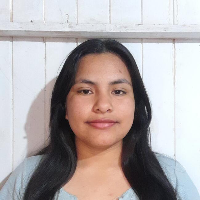 Babysitter in Víctor Larco Herrera: Kertin