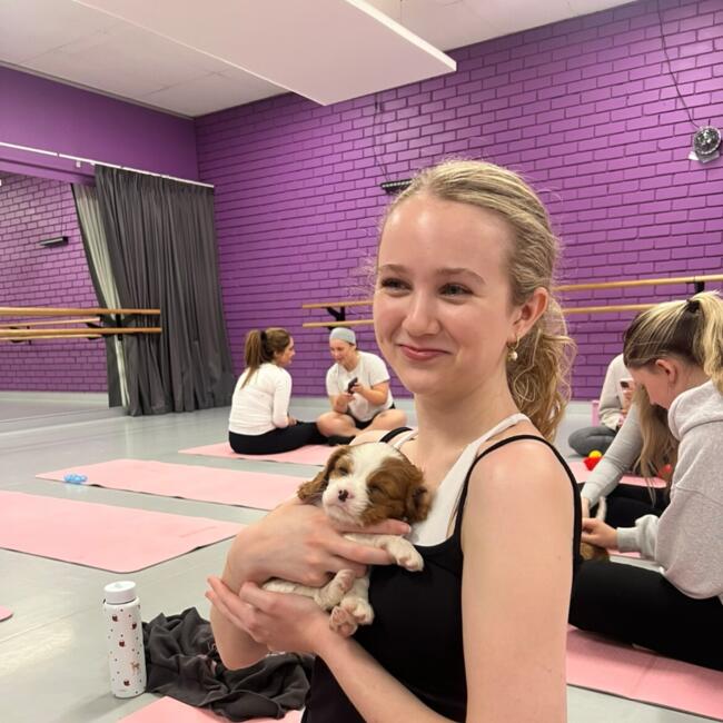 Babysitter in Brisbane: Sophie