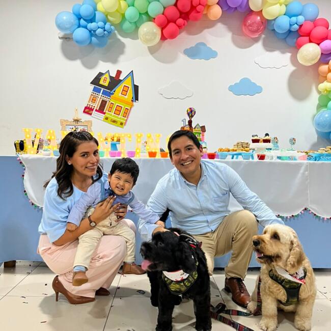 Babysitting job in Lima: Henry Fiestas