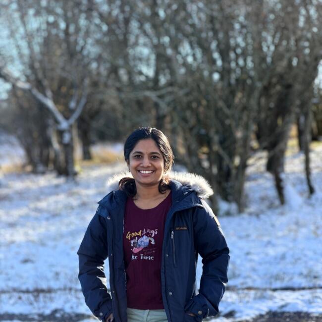 Babysitter in Mayen: Vishnupriya