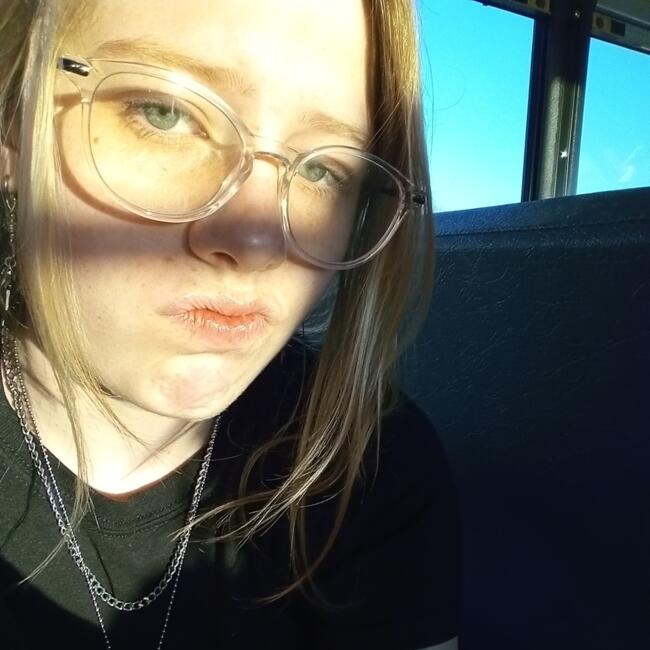 Babysitter in Phoenix: Alexis