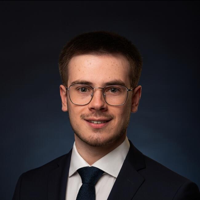 Babysitter in Besançon: Lenny