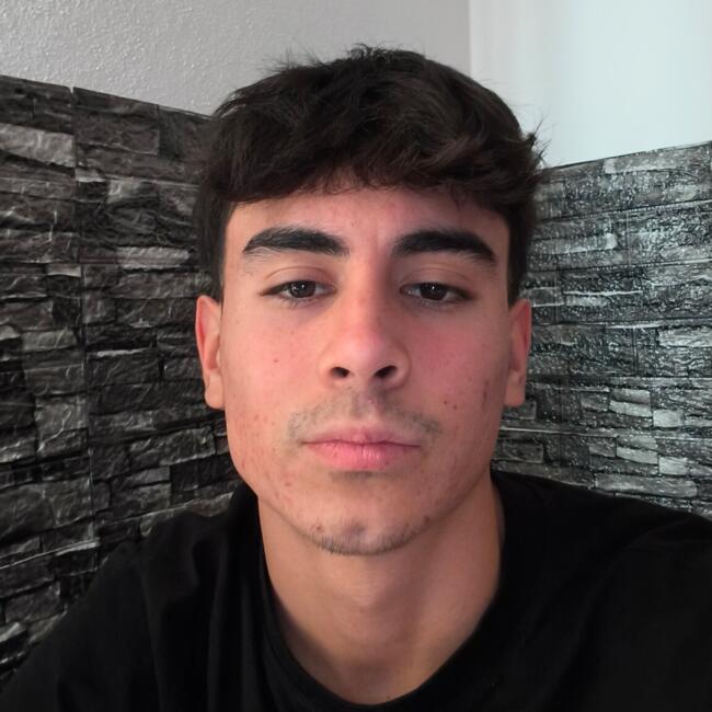 Babysitter in Santiago del Teide: Anthony