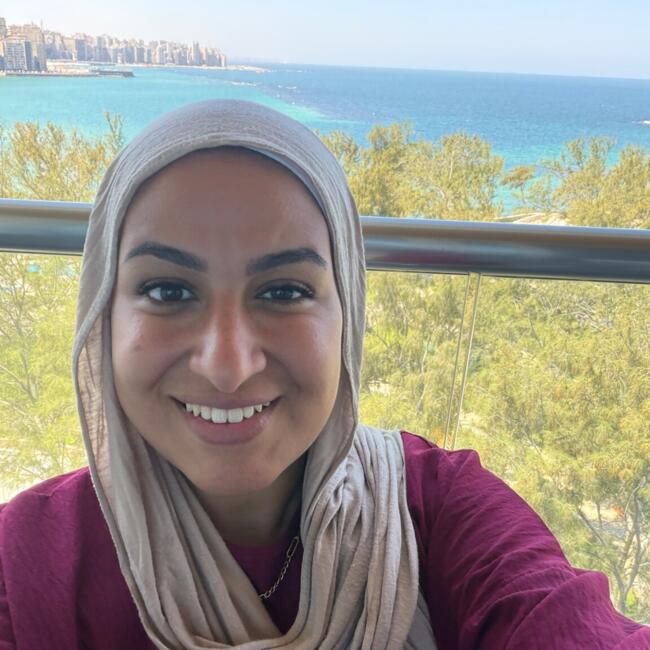 Babysitting job in New Cairo: Amira