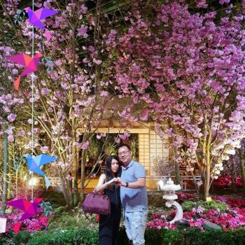 Babysitting job Singapore: babysitting job Alviss