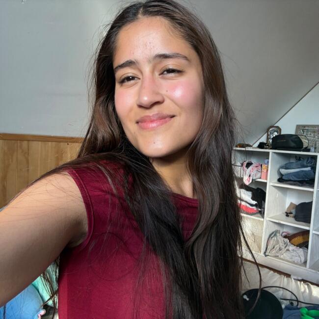 Babysitter in Rancagua: Francisca