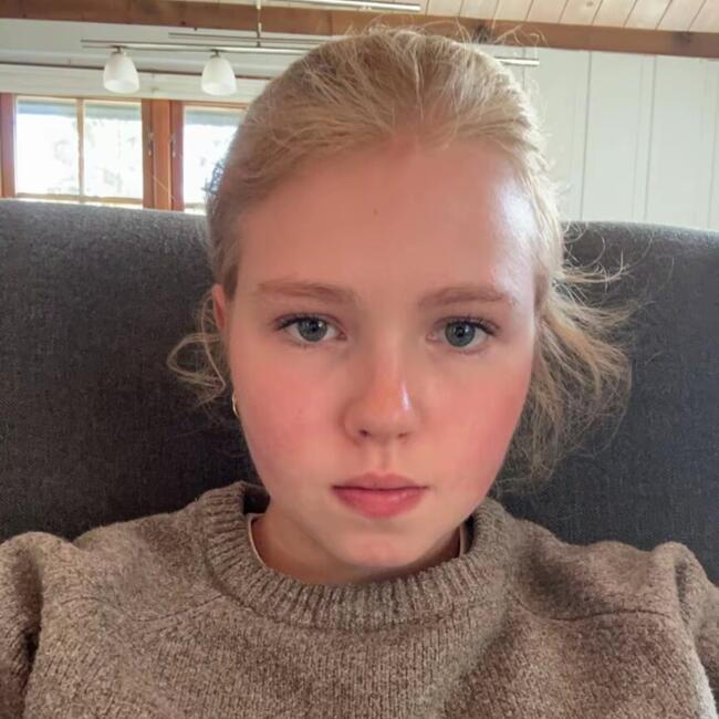 Babysitter in Dal (Akershus): Elva