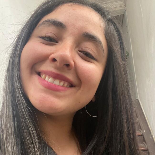 Babysitter in Valparaíso: Camila