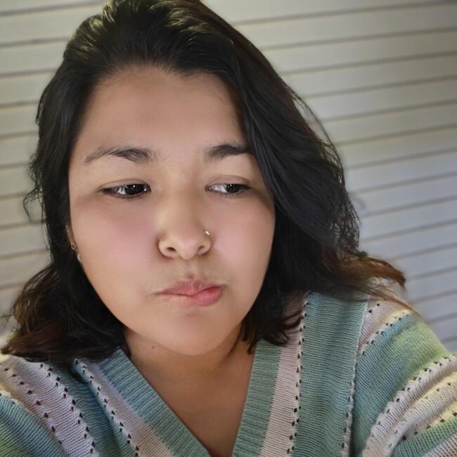 Babysitting job in Ica: Vanessa