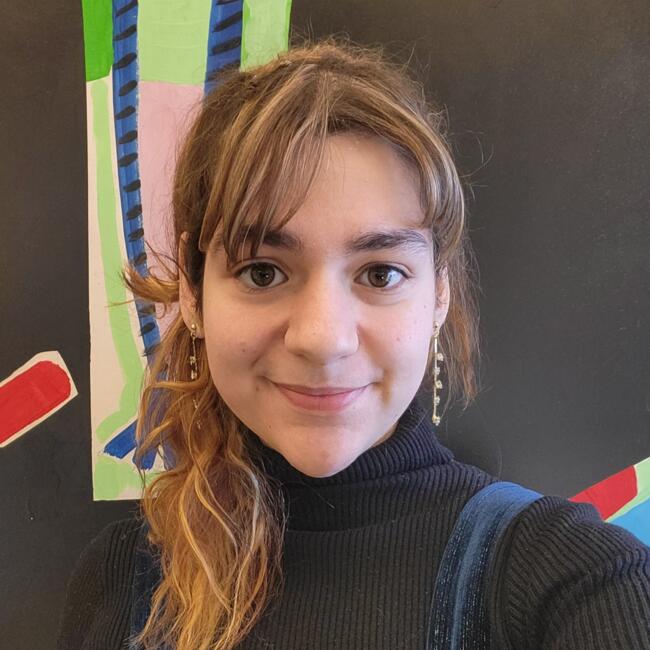 Babysitter in Matosinhos Municipality: Diana