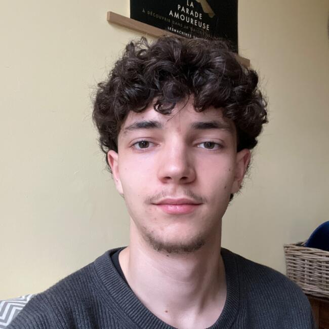 Babysitter in Nantes: Philémon