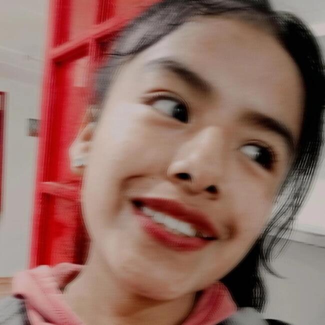 Babysitter in Calama: Gabriela