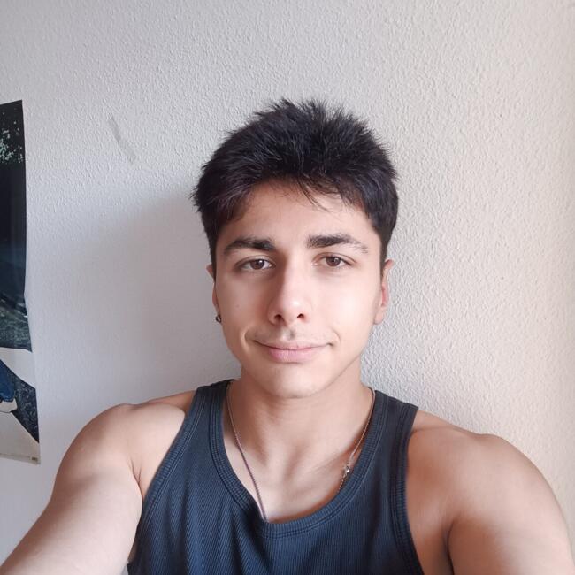 Babysitter in Toulouse: Esteban