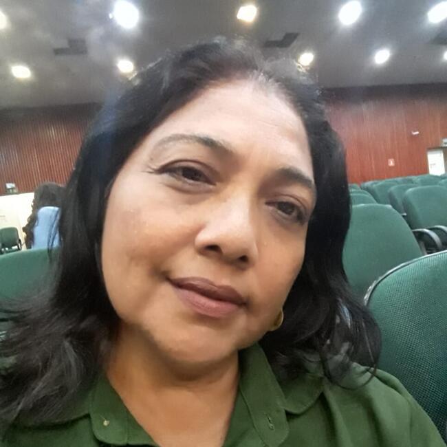 Babysitter in Campo Grande: Lucimeire