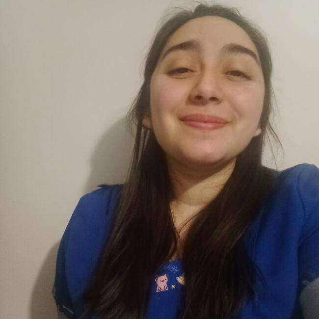 Babysitter in Chillán: Javiera