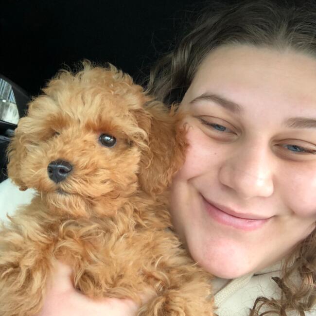 Babysitter a Ottaviano: Emy