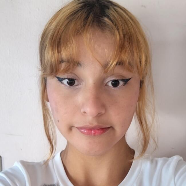 Babysitter in San Isidro de El General: Dae