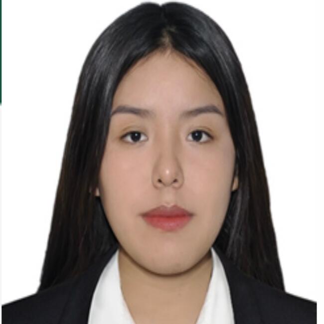 Niñera en Paucarpata (Departamento de Arequipa): Dariana Gallegos Ccari