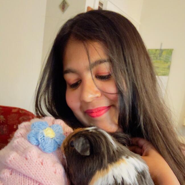 Babysitter in Clonsilla: SAHANA