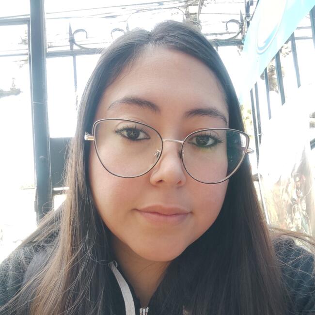 Babysitter in Viña del Mar: Thabata