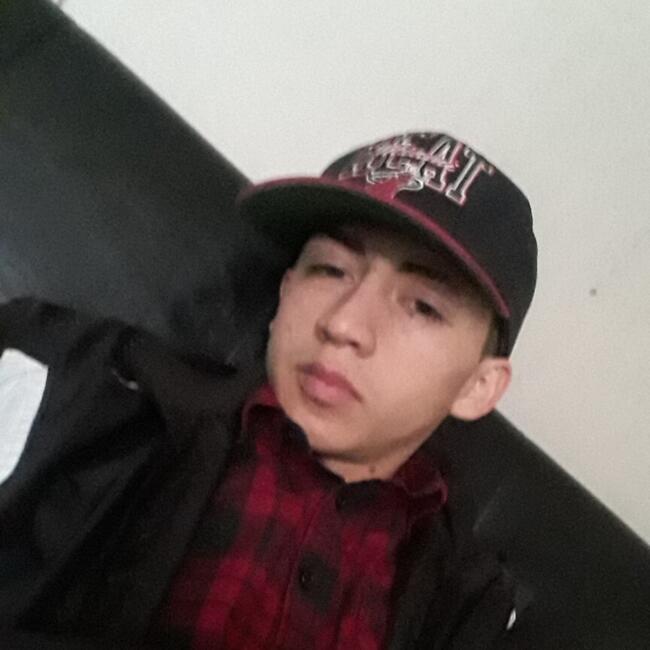 Babysitting job in San Joaquín: Pablo