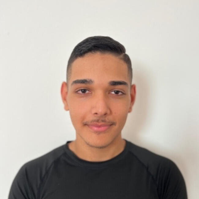 Babysitter in Hemmingen: Naschwan