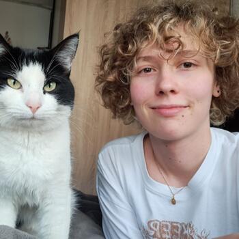 Babysitter in Frantschach: Benni