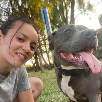 Babysitter in Senlis: Coralie