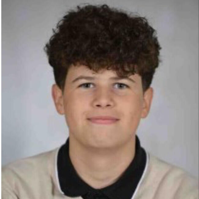 Babysitter in Gallardon: Mikael