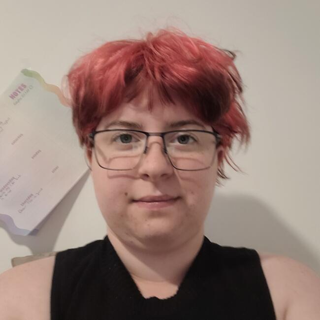Babysitter in Montreal: Frédéric