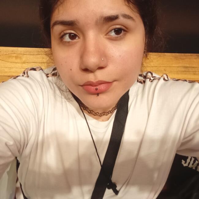 Babysitter in Tafí Viejo: Camila