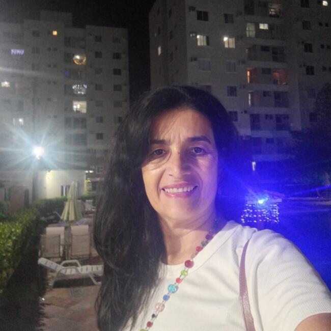 Babysitter in Lauro de Freitas: Leide