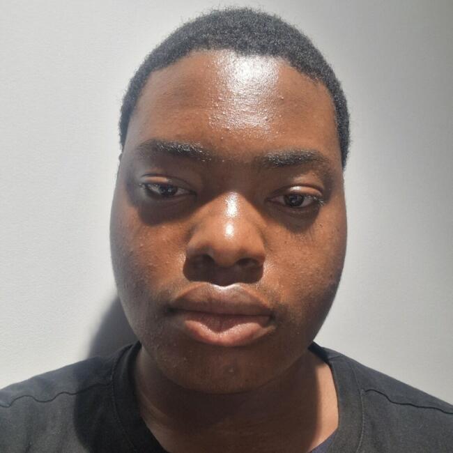 Babysitter in Erith: David