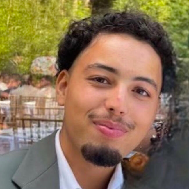 Babysitter in Suresnes: Ali