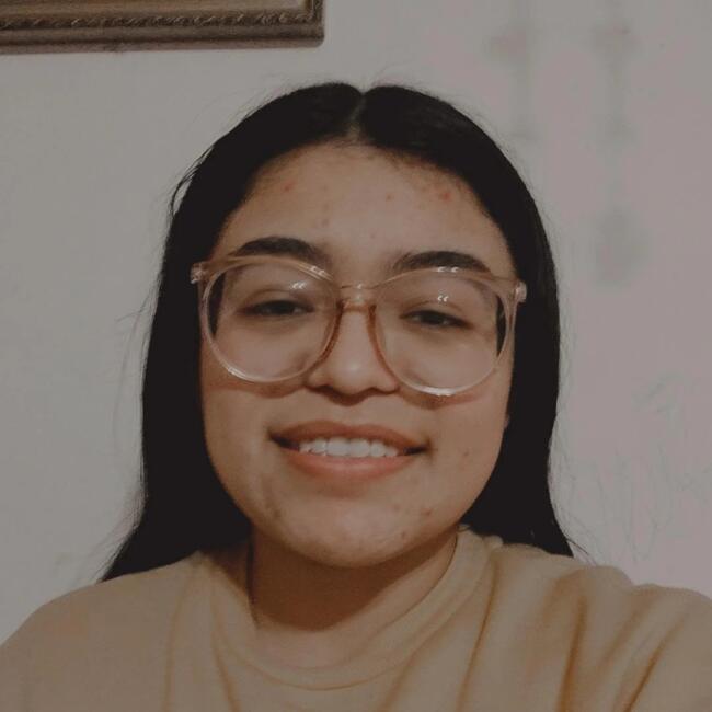 Babysitter in Punta Arenas: Camila
