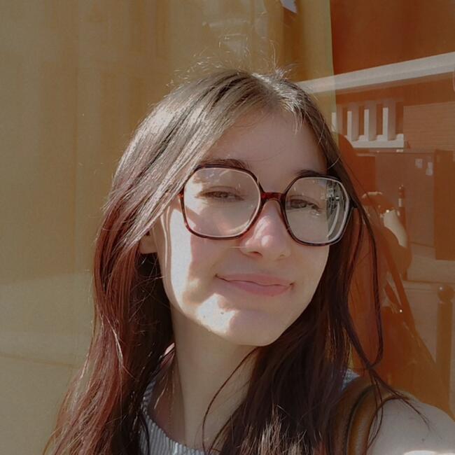 Babysitter στην περιοχή Βαλανσιέν: Romane