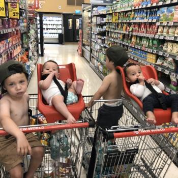 Nanny job Wellington: babysitting job Arohia