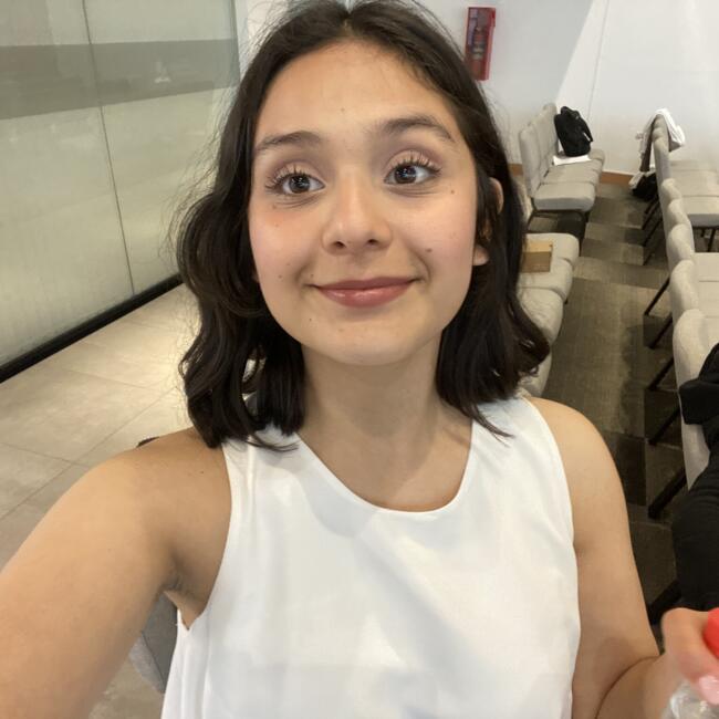 Niñera en Puente Alto: Silvana