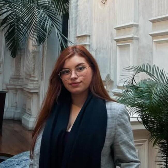 Babysitter in Concepción: Javi