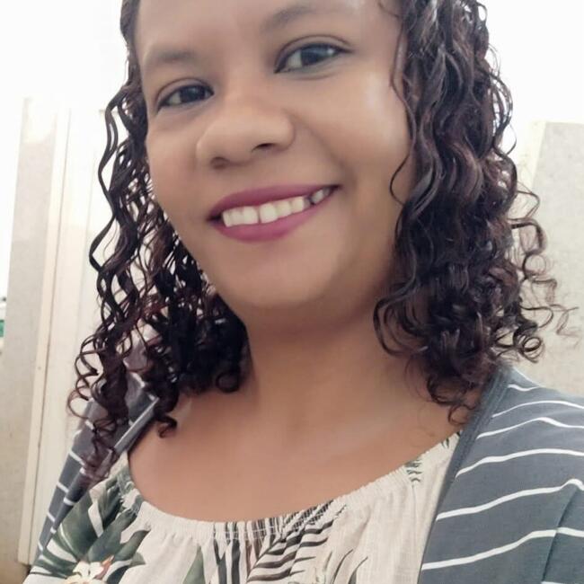 Babysitting job in São Joaquim da Barra: Solange Costa