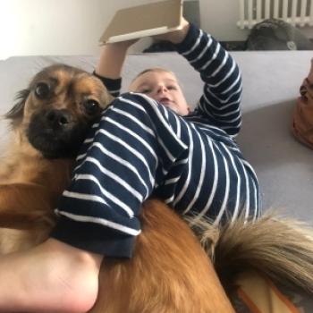 Babysitting job in Berlin: babysitting job Nina