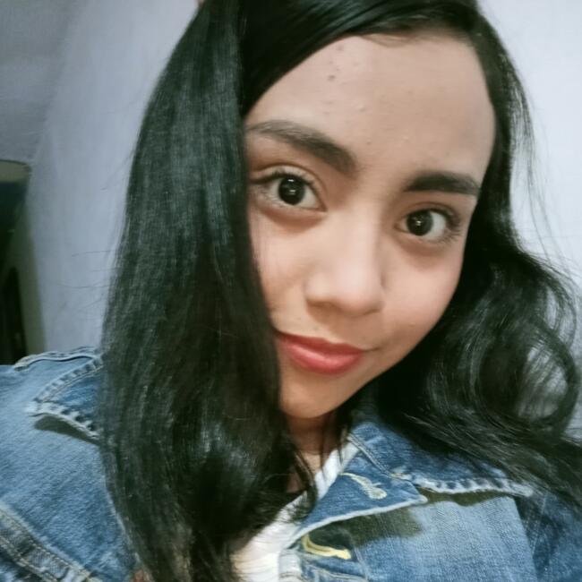 Babysitter in San Luis Potosí City: Yanni