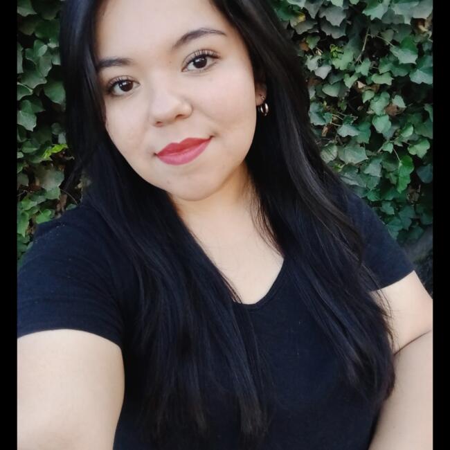 Babysitter in Rancagua: Sara