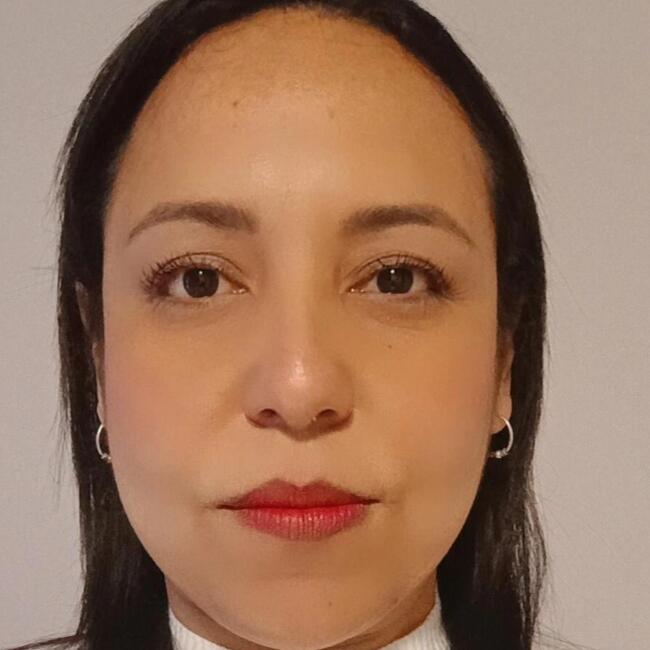 Babysitter in Santiago: Loincrid Rodríguez