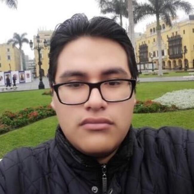 Babysitting job in Lima: Alexis